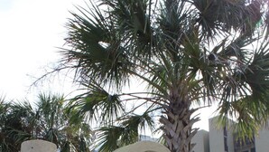 A sign for Shipwatch Surf & Yacht Club with the number 16787. - Shipwatch A403 (Pensacola)