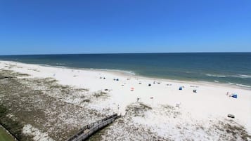 Condo, Multiple Beds (Perdido Towers East 1003) | Beach | On the beach