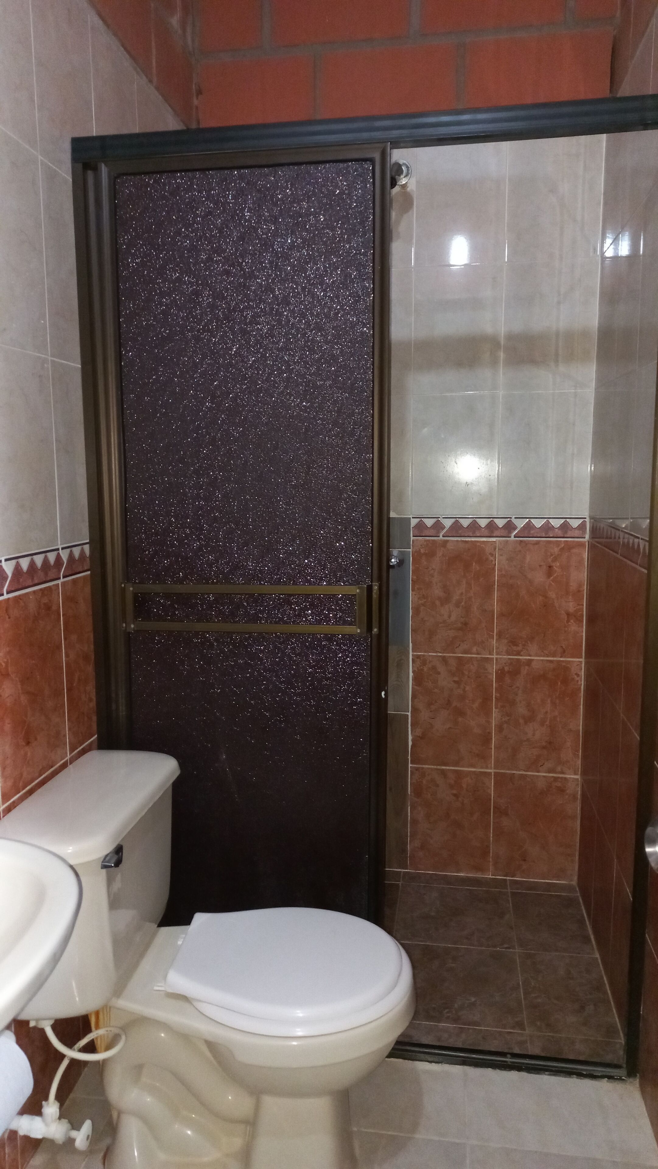 Un baño con inodoro, cabina de ducha y puerta con diseño moteado.