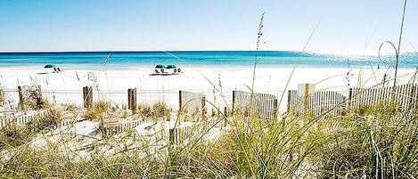 Condo, 1 King Bed with Sofa bed (Alerio E402- Just Beachy) | Beach | Beach nearby