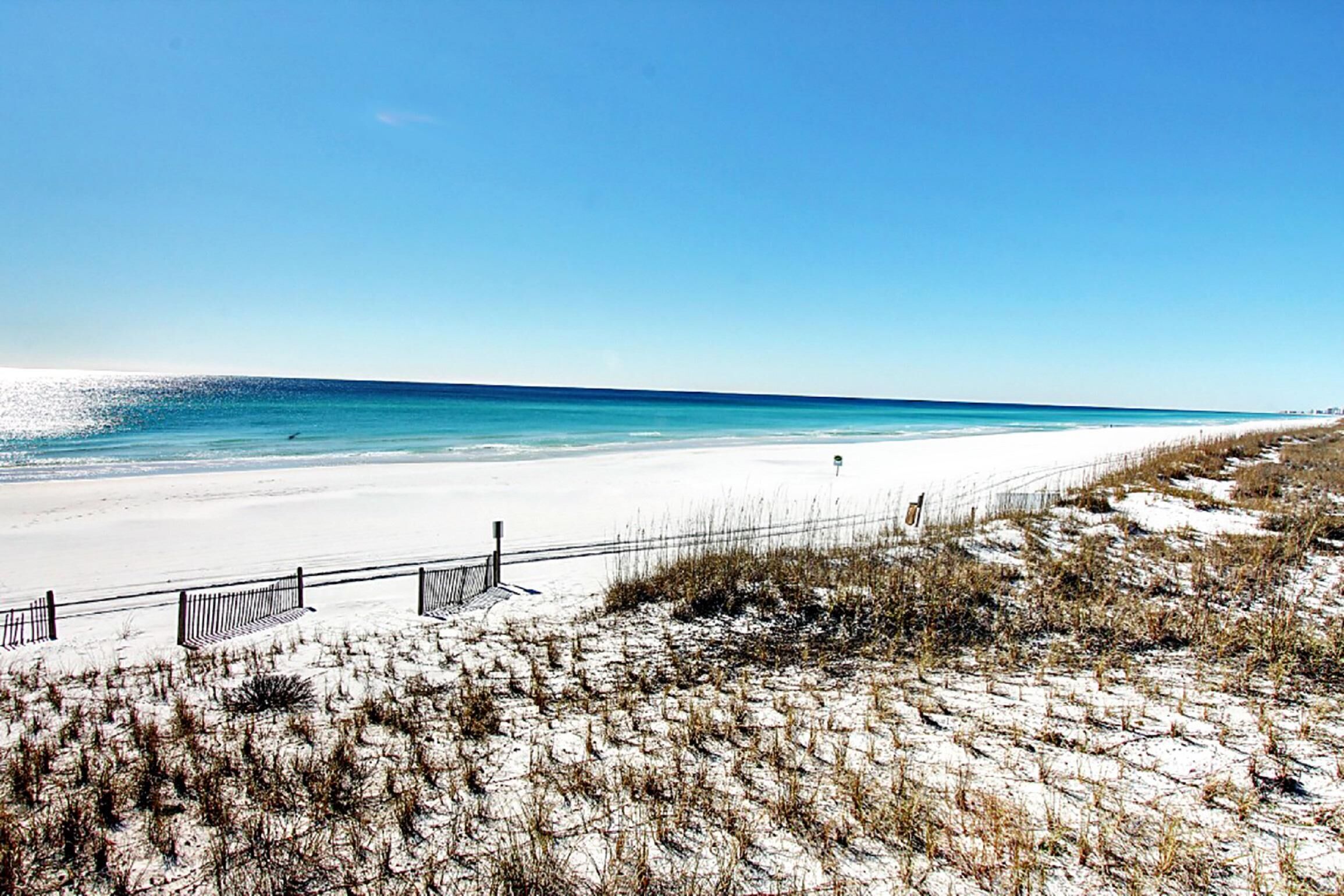 Une plage avec un rivage sablonneux et un ciel bleu dégagé.