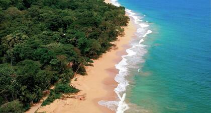 Casa en la Jungla en Playa Bluff - Casa Laurel