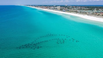 Townhome, 1 King Bed with Sofa bed (Sandprints B2- Owen's Oasis) | Beach