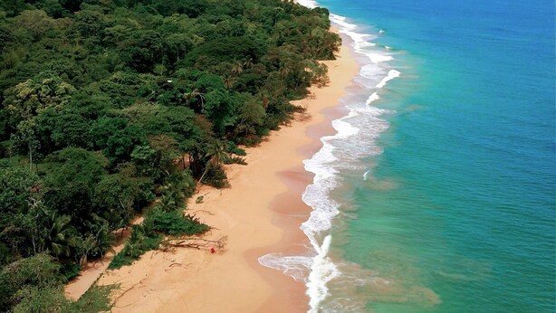 Vista aérea de una playa con aguas turquesas cristalinas y una orilla arenosa, rodeada de vegetación verde exuberante.