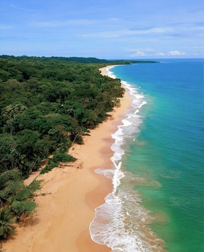 Beach - Casa en la Jungla en Playa Bluff - Casa Bambú (Bocas del Toro)