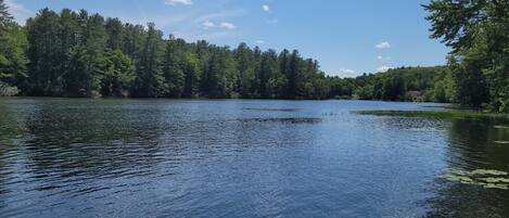 2 habitaciones, escritorio, wifi gratis y ropa de cama