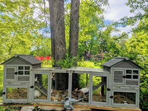 Property grounds - Maine river escape: free kayaks, paddle boards, tennis, cute rabbits and fun! (West Gardiner)