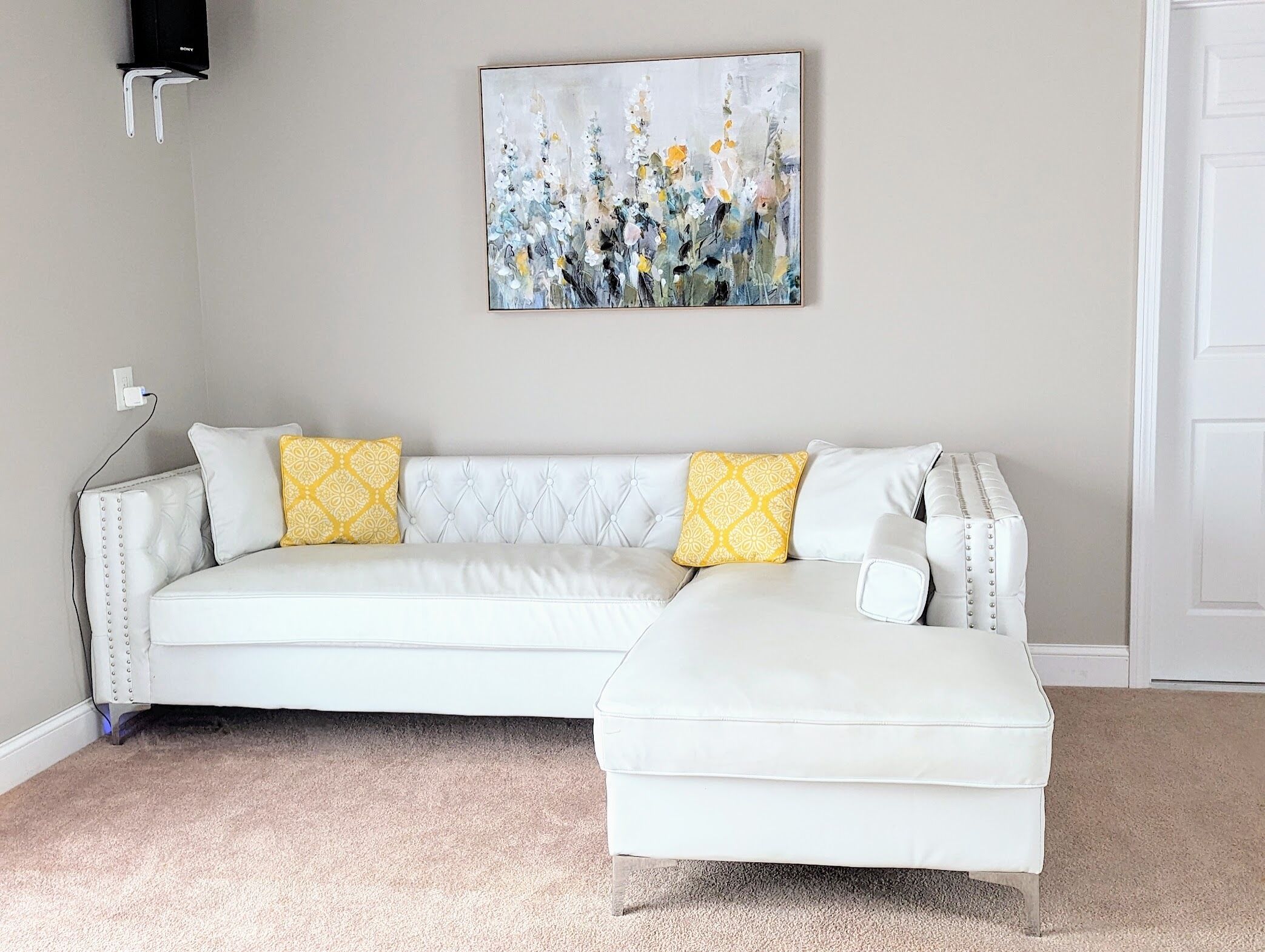 Smart TV, DVD player, books