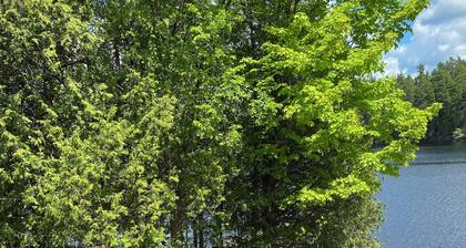 Blue Heaven - Fully Updated 3 Bedroom with Bunkie Tranquil Paradise on Bull Lake