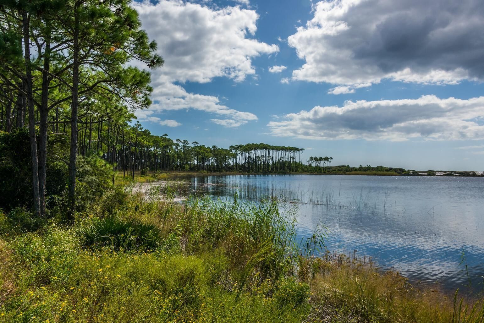 Un paisaje natural con un lago, árboles frondosos y cielo despejado.