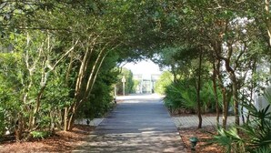 A pathway lined with trees and a paved walkway leading to a building entrance. - Sunsets at Rosemary Carriage House (Panama City Beach)