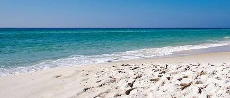 Condo, 1 King Bed with Sofa bed (Ramsgate 3) | Beach | On the beach