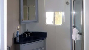 A compact bathroom with a sink, mirror, toilet, and shower. - Paradise Found: Luxury Roof Deck (Boston)