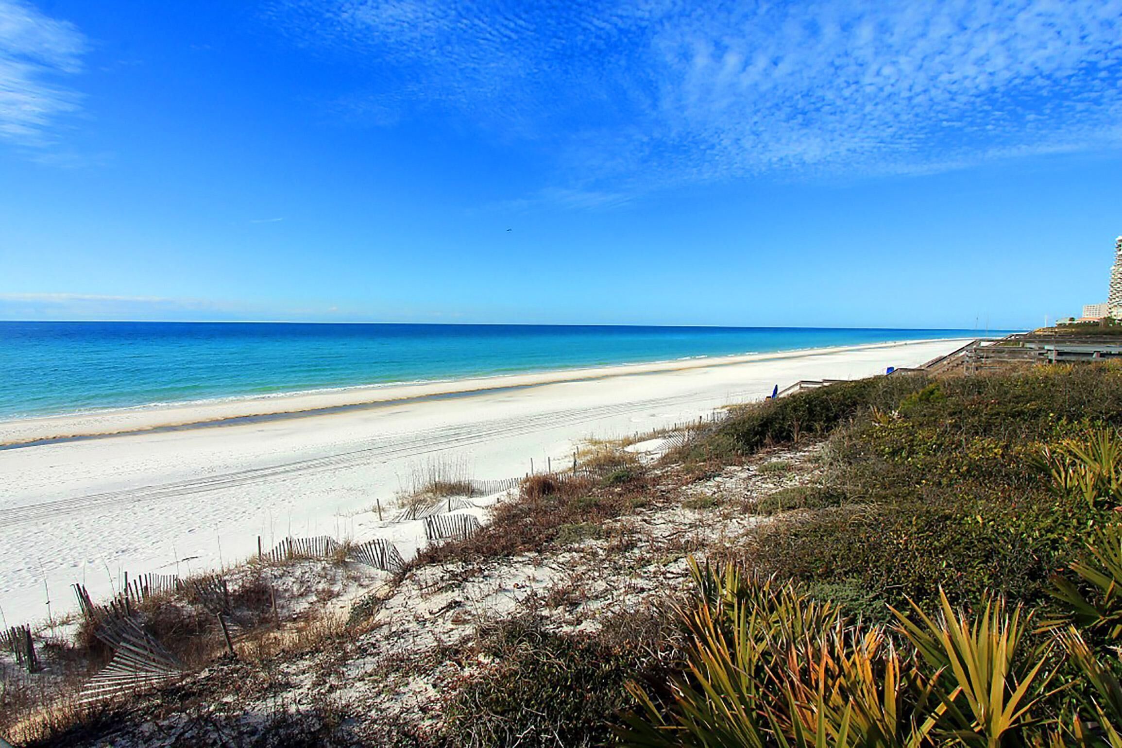 Een strand met een heldere lucht, zandstrand en schaarse begroeiing.