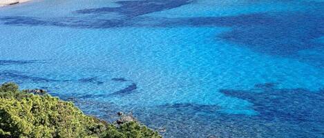 Una spiaggia nelle vicinanze