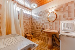 A bathroom with a shower, bidet, sink, and a mirror.