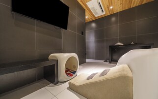 A modern bathroom with a black bathtub, a white toilet, and a beige rug.