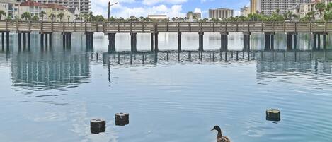 A waterfront view with a bridge, water, and buildings in the background.