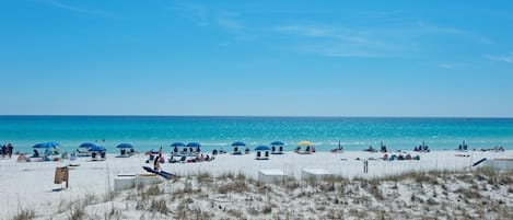 House, Multiple Beds (Miramar Magic) | Beach | Beach nearby