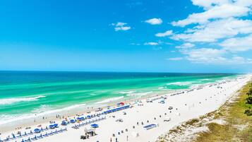 Appartement, meerdere bedden (Shores of Panama 830) | Strand | Aan het strand