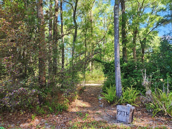 A forested area with a sign labeled 'PATH' indicating a trail. - Lovely Home Near Rainbow Springs, World Equestrian Center, and Juliette Falls! (Dunnellon)