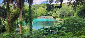A natural pool surrounded by lush greenery, with a wooden deck and people swimming. - Lovely Home Near Equestrian Center, Rainbow Springs, and Juliette Falls! (Dunnellon)