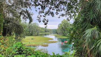 A river surrounded by dense greenery and trees.