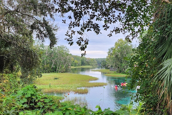 View from gift shop at Rainbow Springs State Park