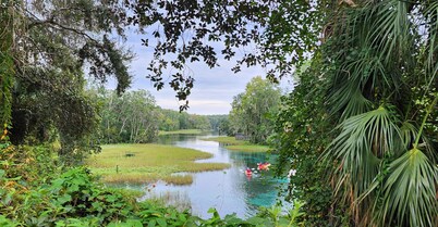 Lovely Home Near Rainbow Springs, World Equestrian Center, and Juliette Falls!