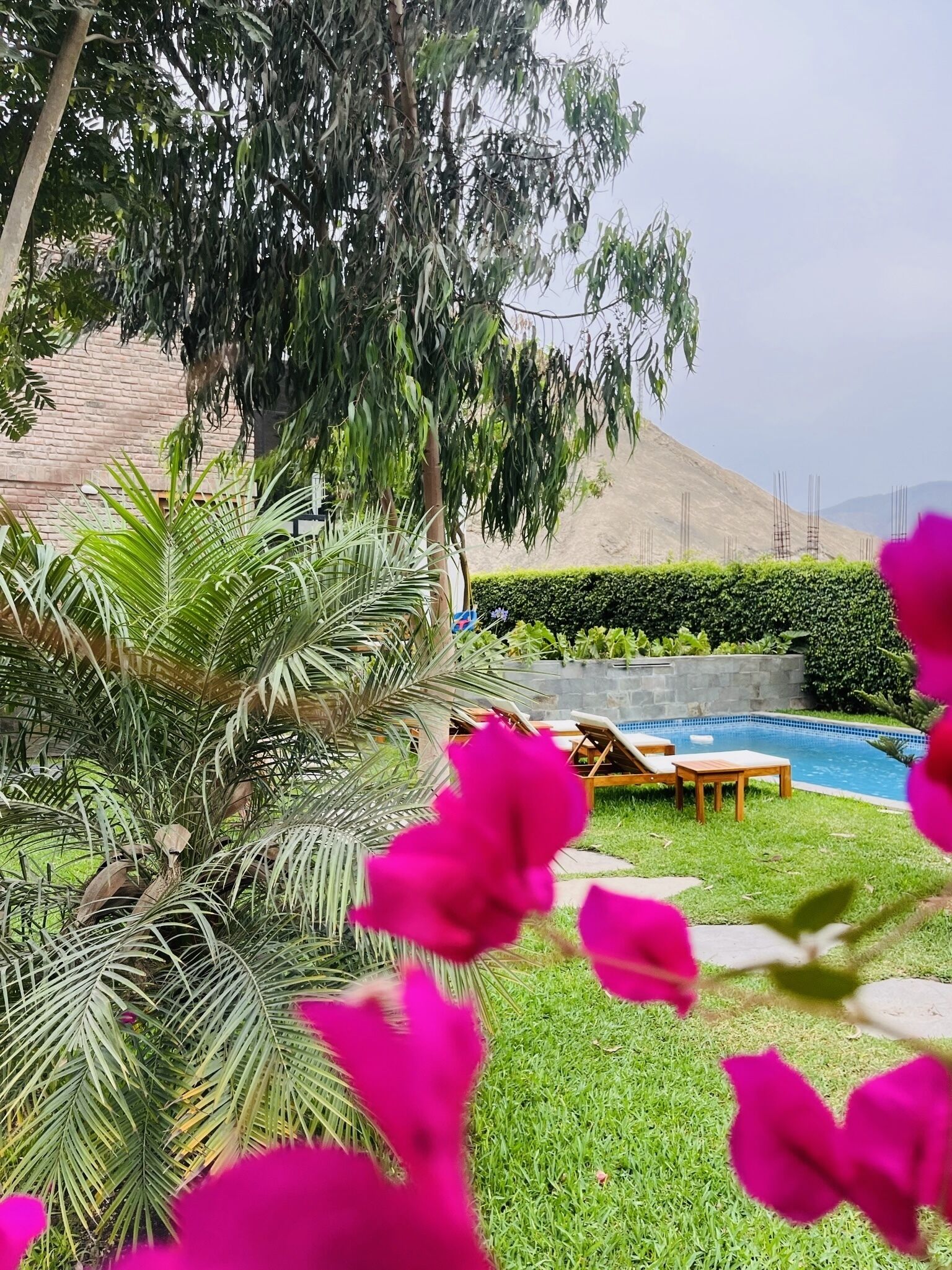 Piscine