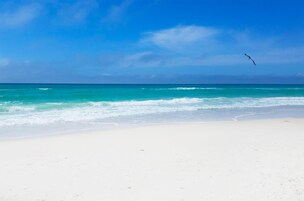 Condo, 1 cama King e sofá-cama (Nautical Watch E-4) | Praia | Na praia 