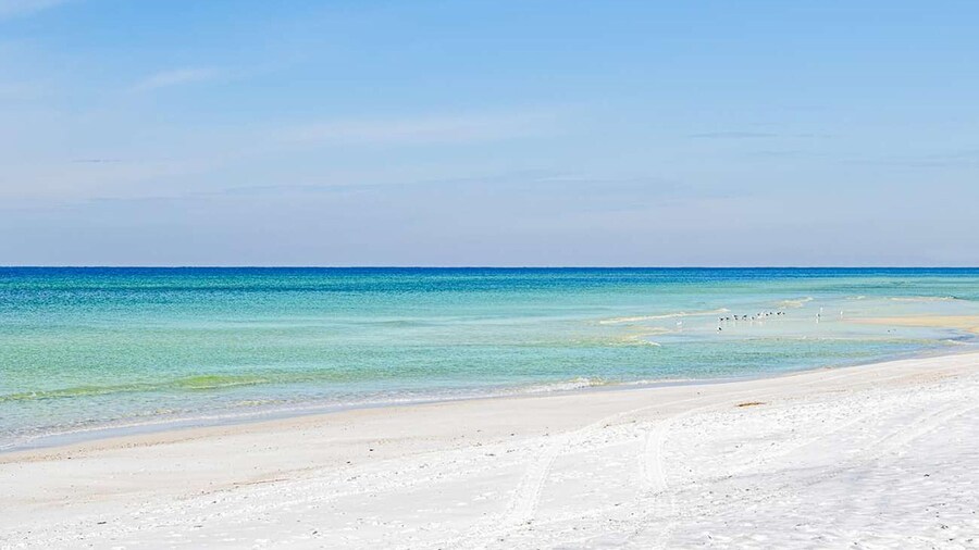 Beach Life