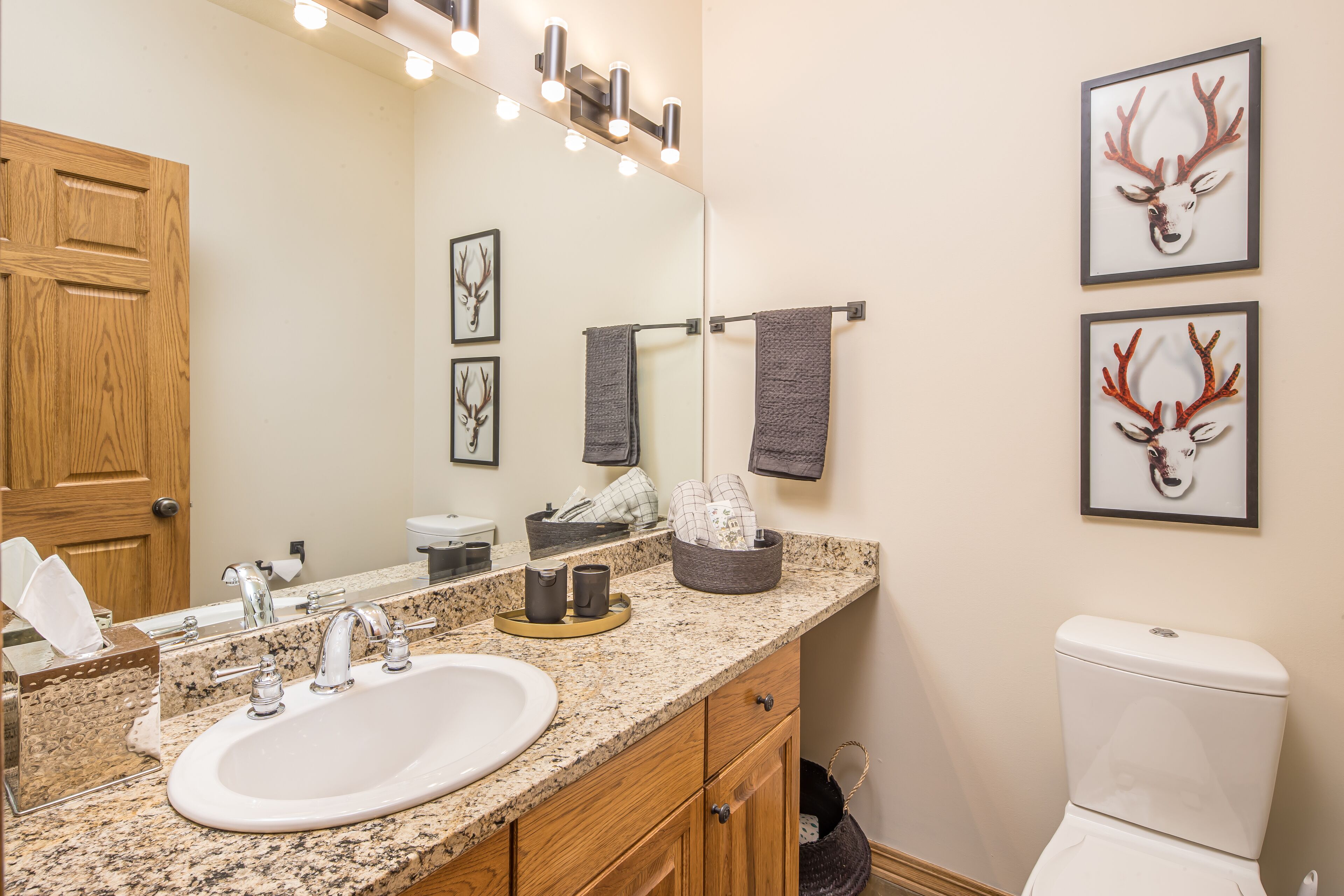A bathroom with a granite countertop sink, wooden cabinets, a large mirror, and framed deer antlers on the wall.