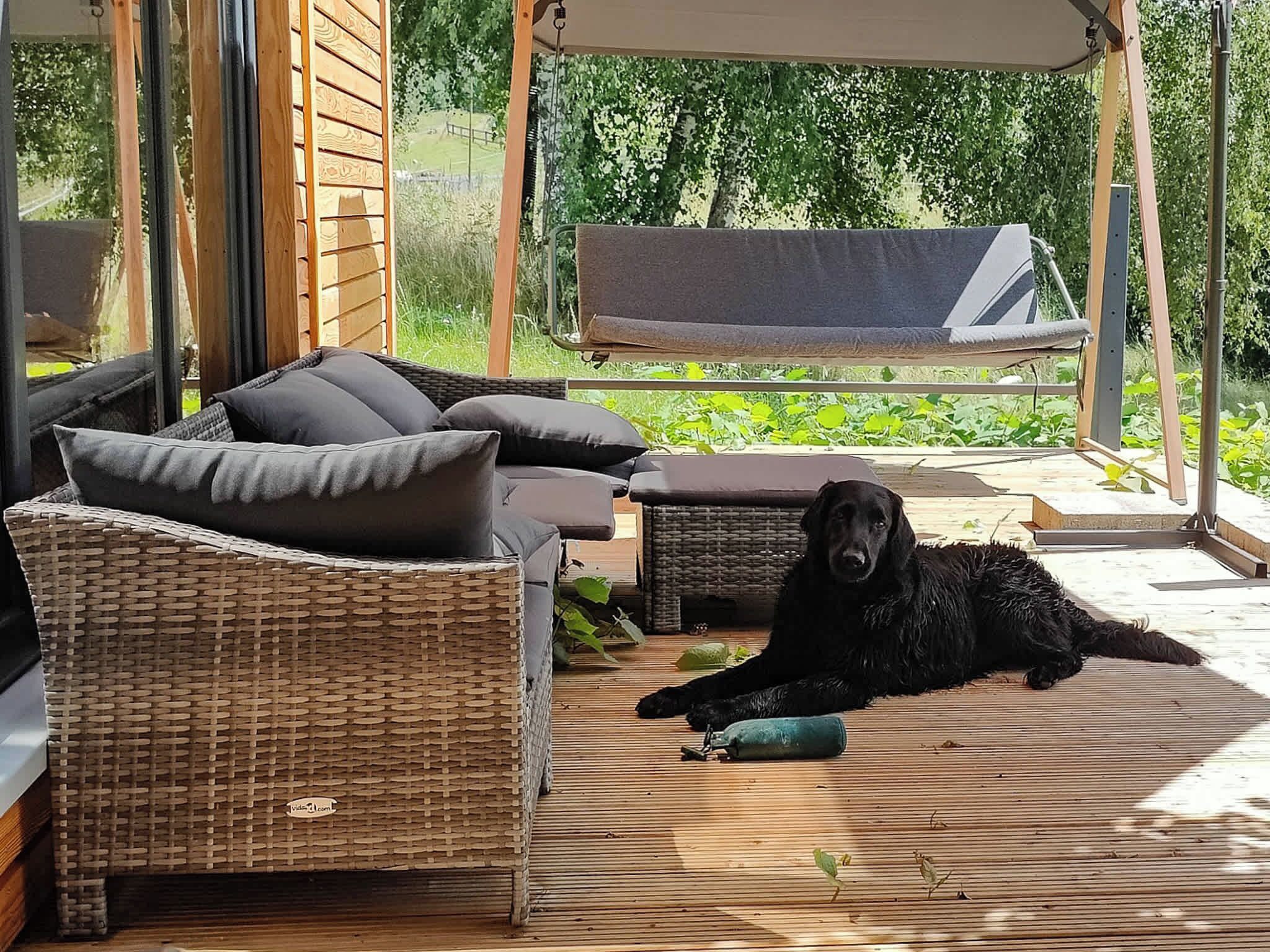 Een overdekt terras met rieten meubels en een hond die op de vloer ligt.
