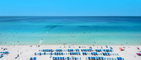 Leilighet, 1 kingsize-seng med sovesofa (Celadon 1103 - Beach Paradise) | Strand | På stranden