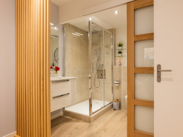 Shower, hair dryer, towels