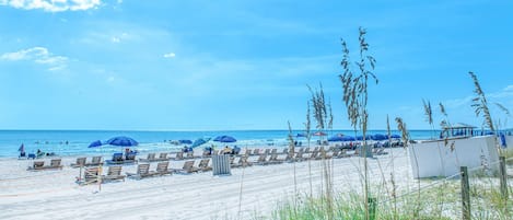 Appart'hôtel, plusieurs lits (Twin Palms 1701) | Plage