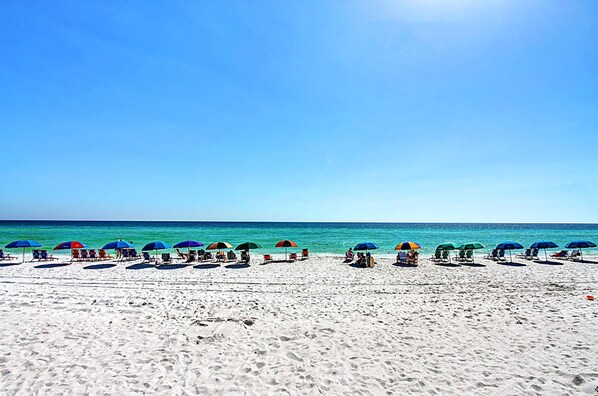 Appart'hôtel, plusieurs lits (Shoreline Towers 2115) | Plage