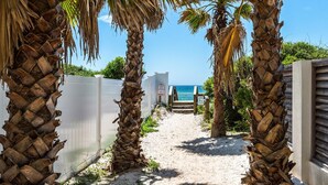 A sandy pathway flanked by palm trees leading to a beach with a clear view of the ocean.