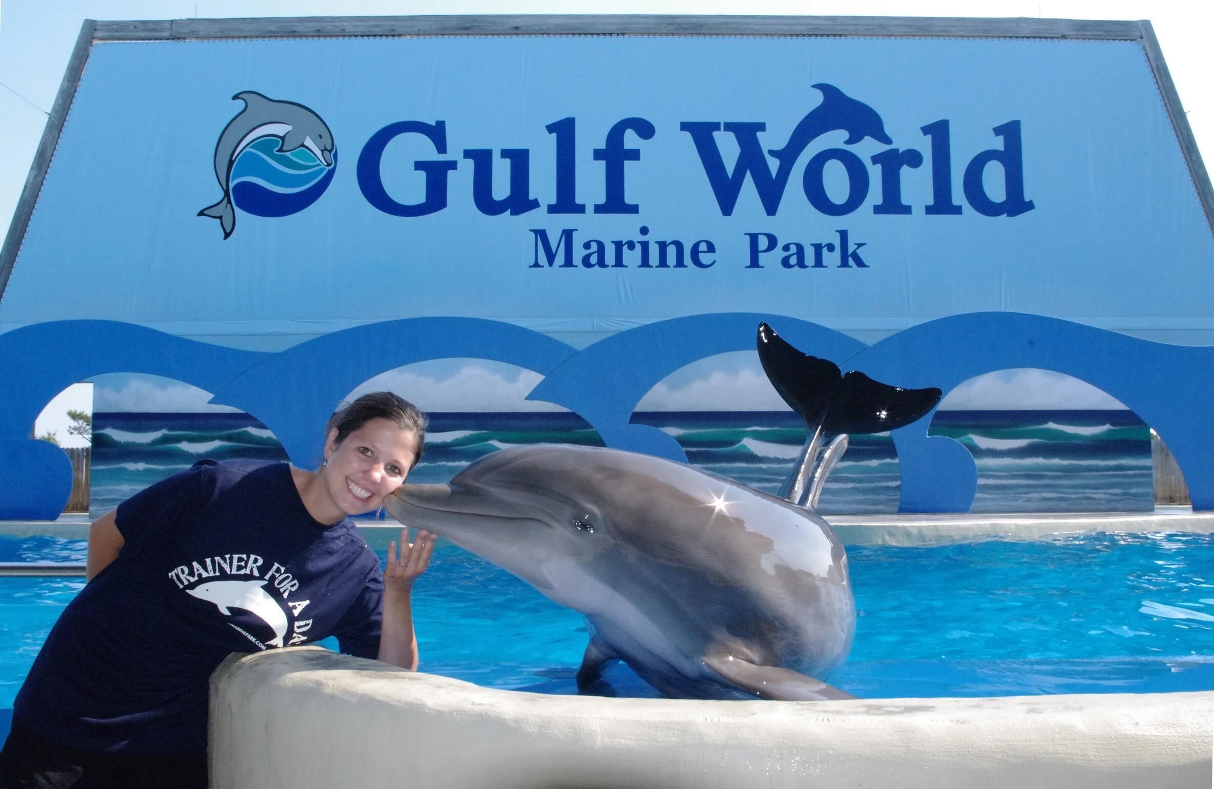 A person in a blue shirt with the text "TRAINER FOR A DAY" standing next to a dolphin in a pool at Gulf World Marine Park.