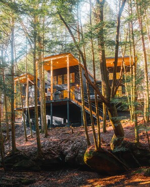 Eine hölzerne Hütte mit mehreren Ebenen, umgeben von hohen Bäumen und einem Waldboden bedeckt mit Laub und Tannennadeln.