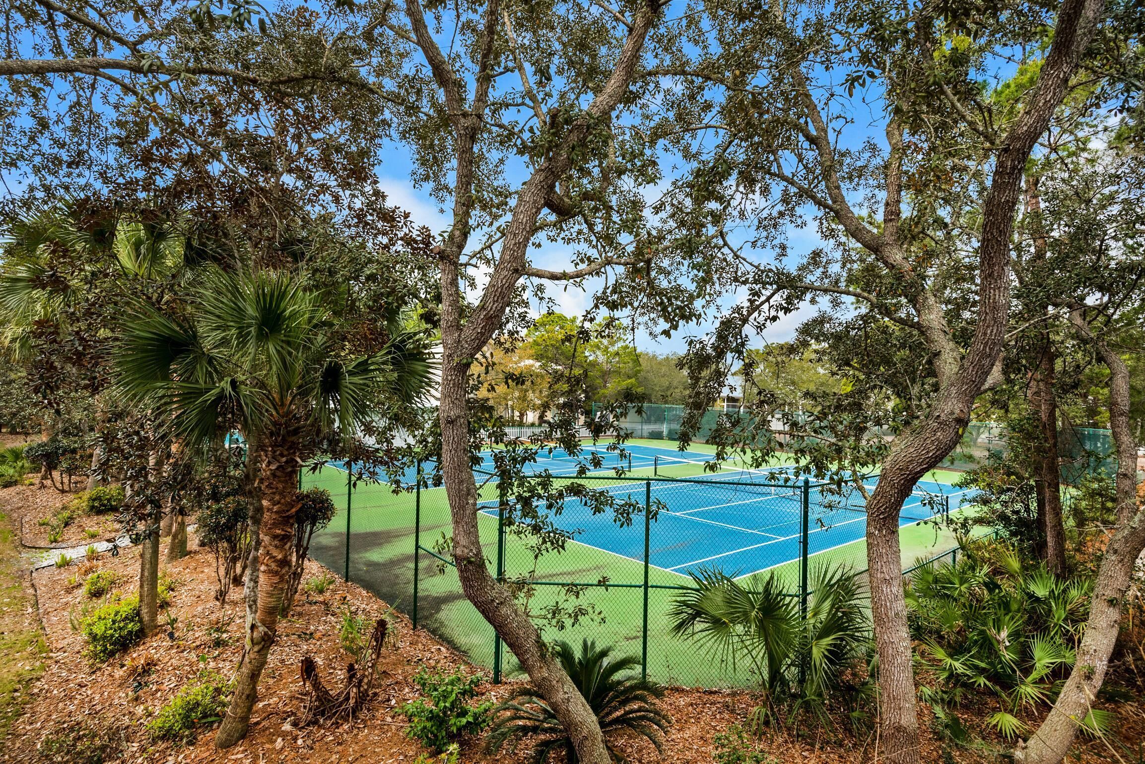 A tennis court surrounded by trees and shrubs.