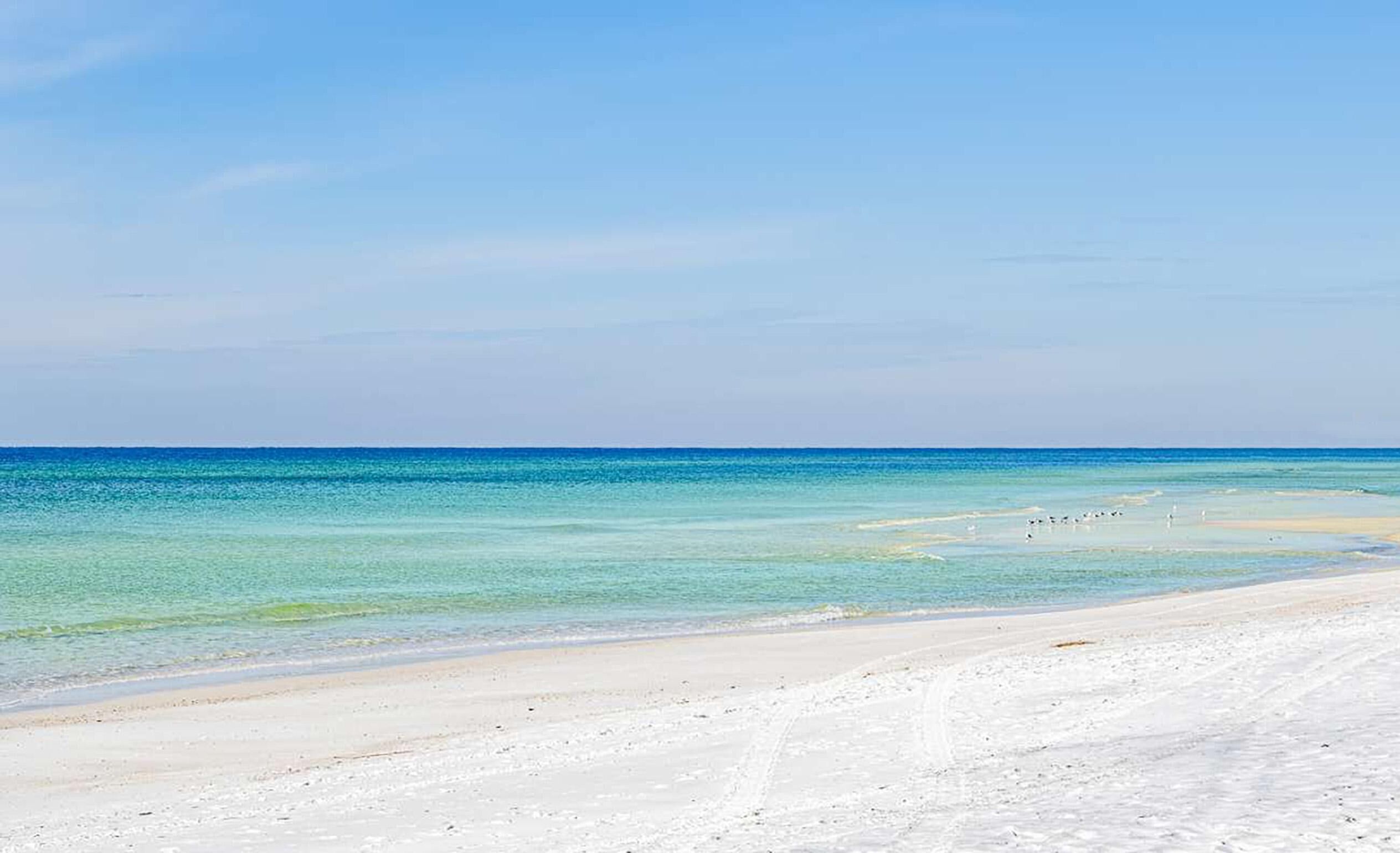Studio, 1 Queen Bed with Sofa bed (Top of the Gulf 811) | Beach | On the beach