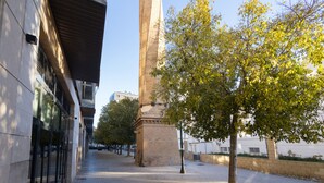 Un bâtiment doté d’une haute tour étroite, un arbre au premier plan et un chemin piétonnier pavé.