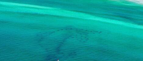 An aerial view of a beach with clear turquoise waters and a sandy shore.
