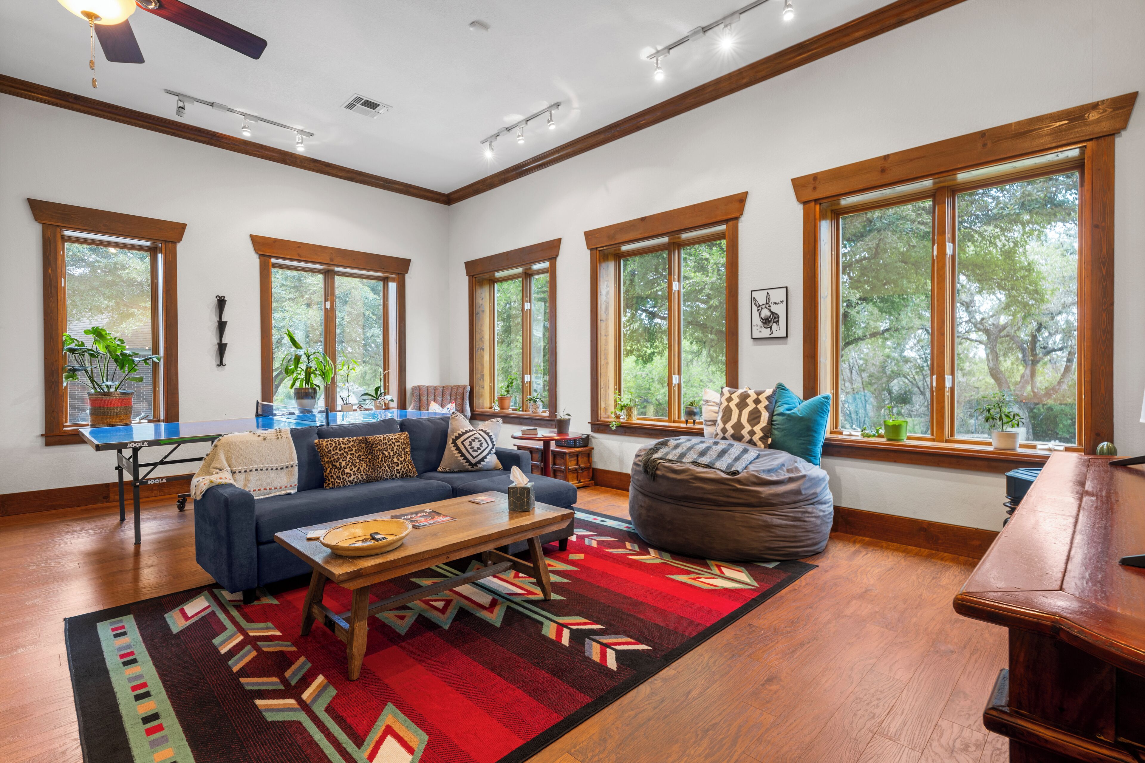 Smart TV, table tennis, books, computer monitors