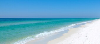 Grande Pointe Sea Shell