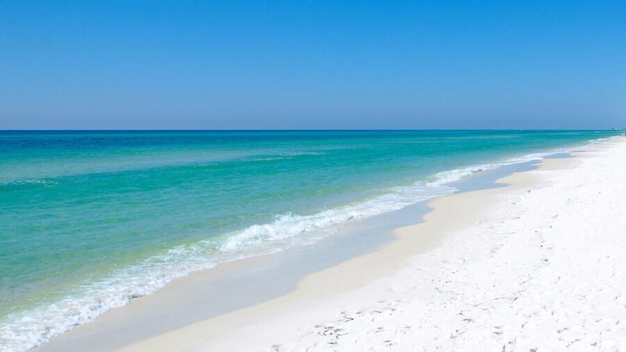 Grande Pointe Sea Shell