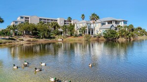 Condo, Multiple Beds (Magnolia House #202) | Exterior - Magnolia House #202 (Destin)
