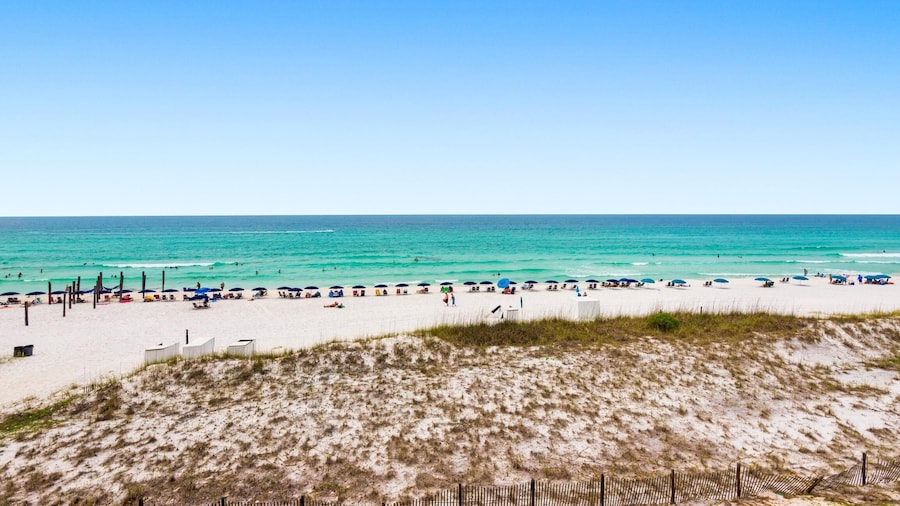 Southbay by the Gulf #81